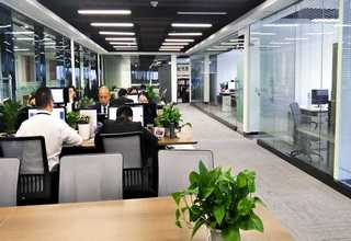 批发脱模剂市场报价