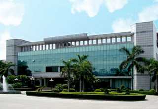 新都区绿植养护方案